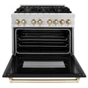 AutographEdition 36 in. 4.6 cu. ft. Dual Fuel Range with Gas Stove and Electric Oven in Fingerprint Resistant DuraSnow Stainless Steel with Black Matte Door and Polished Gold Accents view 4