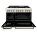 AutographEdition 48 in. 6.0 cu. ft. Dual Fuel Range with Gas Stove and Electric Oven in Fingerprint Resistant Stainless Steel with Black Matte Door and Champagne Bronze Accents view 19