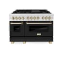 AutographEdition 48 in. 6.0 cu. ft. Dual Fuel Range with Gas Stove and Electric Oven in Fingerprint Resistant Stainless Steel with Black Matte Door and Polished Gold Accents view 17