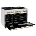 AutographEdition 48 in. 6.0 cu. ft. Dual Fuel Range with Gas Stove and Electric Oven in Fingerprint Resistant Stainless Steel with Black Matte Door and Polished Gold Accents view 15