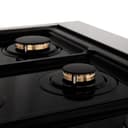 Autograph Edition 36" 4.6 cu. ft. Dual Fuel Range with Gas Stove and Electric Oven with White Matte Door and Gold Accents view 13