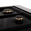 Autograph Edition 48" 6.0 cu. ft. Dual Fuel Range with Gas Stove and Electric Oven with White Matte Door and Champagne Bronze Accents view 5