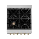 Autograph Edition 24" 2.8 cu. ft. Dual Fuel Range with Gas Stove and Electric Ovenundefined with Accents (RAZ-24) - Champagne Bronze view 5