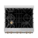 Autograph Edition 30" 4.0 cu. ft. Dual Fuel Range with Gas Stove and Electric Oven with Champagne Bronze Accents view 6