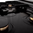 Autograph Edition 30" 4.0 cu. ft. Dual Fuel Range with Gas Stove and Electric Oven with Gold Accents view 7