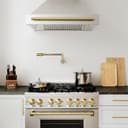 Autograph Edition 36" 4.6 cu. ft. Dual Fuel Range with Gas Stove and Electric Oven with Champagne Bronze Accents view 5