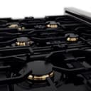 Autograph Edition 36" 4.6 cu. ft. Dual Fuel Range with Gas Stove and Electric Oven with Accents view 10