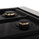 Autograph Edition 36" 4.6 cu. ft. Dual Fuel Range with Gas Stove and Electric Oven with Accents view 11