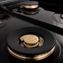 Autograph Edition 48" 6.0 cu. ft. Dual Fuel Range with Gas Stove and Electric Oven with Accents view 9