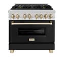 AutographEdition 36" 4.6 cu. ft. Dual Fuel Range with Gas Stove and Electric Oven in Stainless Steel with Black Matte Door and Polished Gold Accents view 12