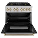 AutographEdition 36" 4.6 cu. ft. Dual Fuel Range with Gas Stove and Electric Oven in Stainless Steel with Black Matte Door and Polished Gold Accents view 9