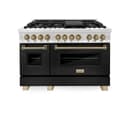 AutographEdition 48" 6.0 cu. ft. Dual Fuel Range with Gas Stove and Electric Oven in Stainless Steel with Black Matte Door and Champagne Bronze Accents view 7