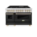 AutographEdition 48" 6.0 cu. ft. Dual Fuel Range with Gas Stove and Electric Oven in Stainless Steel with Black Matte Door and Polished Gold Accents view 7