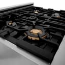 Autograph Edition 30" 4.0 cu. ft. Dual Fuel Range with Gas Stove and Electric Oven with White Matte Door and Champagne Bronze Accents view 12