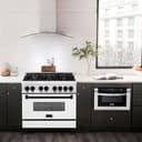 AutographEdition 36" 4.6 cu. ft. Dual Fuel Range with Gas Stove and Electric Oven in Stainless Steel with White Matte Door and Matte Black Accents view 12