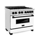 AutographEdition 36" 4.6 cu. ft. Dual Fuel Range with Gas Stove and Electric Oven in Stainless Steel with White Matte Door and Matte Black Accents view 16
