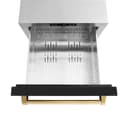 Autograph Edition 24 in. Touchstone 168 Can Outdoor-Rated Dual Refrigerator Drawer with Black Matte Doors and Polished Gold Handles view 7