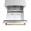 ZLINE Autograph Edition 24 in. Touchstone 168 Can Outdoor-Rated Dual Refrigerator Drawer with Stainless Steel Doors and Polished Gold Handles (RDSOZ-ST-24-G) view 7