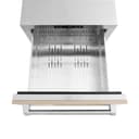 ZLINE 24 in. Touchstone 168 Can Outdoor-Rated Dual Refrigerator Drawer with Panel-Ready Doors (RDSPO-24) view 8
