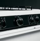 30" Free-Standing Gas Range view 8