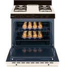 30" Free-Standing Gas Range view 4