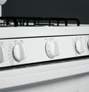 30" Free-Standing Gas Range view 6