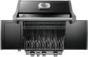 Rogue® PRO 425 SIB with Infrared Side Burner view 7