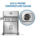 Rogue® PRO 525 SIB with Infrared Side Burner view 8