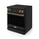 30 Inch Professional Electric Range With Tilt Panel Touch Control In Black/bronze Gordon Ramsay Series view 4