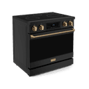36 Inch Professional Electric Range With Tilt Panel Touch Control In Black/bronze Gordon Ramsay Series view 3