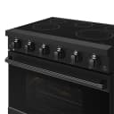 36 Inch Professional Electric Range In Black Gordon Ramsay Series view 4