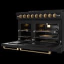 48 Inch Professional Gas Range With Pro-style Knobs In Black/bronze Gordon Ramsay Series view 8