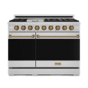 48 Inch Professional Gas Range With Pro-style Knobs In Stainless Steel/bronze Gordon Ramsay Series view 1