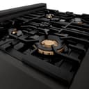 Autograph Edition 30" Porcelain Rangetop with 4 Gas Burners and Gold Accents view 5