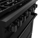 36 in. 5.2 cu. ft. Paramount Dual Fuel Range with 6 Burner Gas Cooktop and Electric Convection Oven view 7