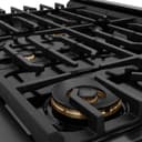 36 in. 5.2 cu. ft. Paramount Dual Fuel Range with Gas Cooktop and Electric Convection Oven view 6