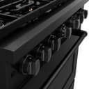 36 in. 5.2 cu. ft. Paramount Dual Fuel Range with Gas Cooktop and Electric Convection Oven view 7