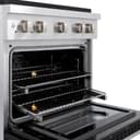 30 in. 4.2 cu. ft. Paramount Dual Fuel Range with 4 Burner Gas Cooktop and Electric Convection Oven view 7