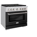 36 in. 5.2 cu. ft. Paramount Dual Fuel Range with 6 Burner Gas Cooktop and Electric Convection Oven view 5