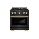 Autograph Edition 30 in. 4.2 cu. ft. Paramount Dual Fuel Range with 4 Burner Gas Cooktop and Electric Convection Oven view 2