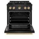 Autograph Edition 30 in. 4.2 cu. ft. Paramount Dual Fuel Range with 4 Burner Gas Cooktop and Electric Convection Oven view 6