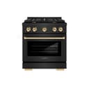 Autograph Edition 30 in. 4.2 cu. ft. Paramount Dual Fuel Range with 4 Burner Gas Cooktop and Electric Convection Oven view 2