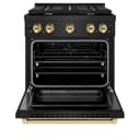 Autograph Edition 30 in. 4.2 cu. ft. Paramount Dual Fuel Range with 4 Burner Gas Cooktop and Electric Convection Oven view 6