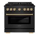 Autograph Edition 36 in. 5.2 cu. ft. Paramount Dual Fuel Range with 6 Burner Gas Cooktop and Electric Convection Oven view 5
