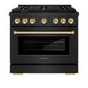 Autograph Edition 36 in. 5.2 cu. ft. Paramount Dual Fuel Range with 6 Burner Gas Cooktop and Electric Convection Oven view 5