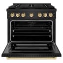 Autograph Edition 36 in. 5.2 cu. ft. Paramount Dual Fuel Range with 6 Burner Gas Cooktop and Electric Convection Oven view 6