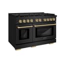 Autograph Edition 48 in. 6.7 cu. ft. Paramount Double Oven Dual Fuel Range with 8 Burner Gas Cooktop view 1