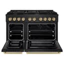 Autograph Edition 48 in. 6.7 cu. ft. Paramount Double Oven Dual Fuel Range with 8 Burner Gas Cooktop view 4