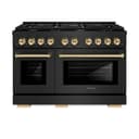 Autograph Edition 48 in. 6.7 cu. ft. Paramount Double Oven Dual Fuel Range with 8 Burner Gas Cooktop view 3