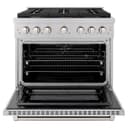 36 in. 5.2 cu. ft. Paramount Dual Fuel Range with Gas Cooktop and Electric Convection Oven view 19